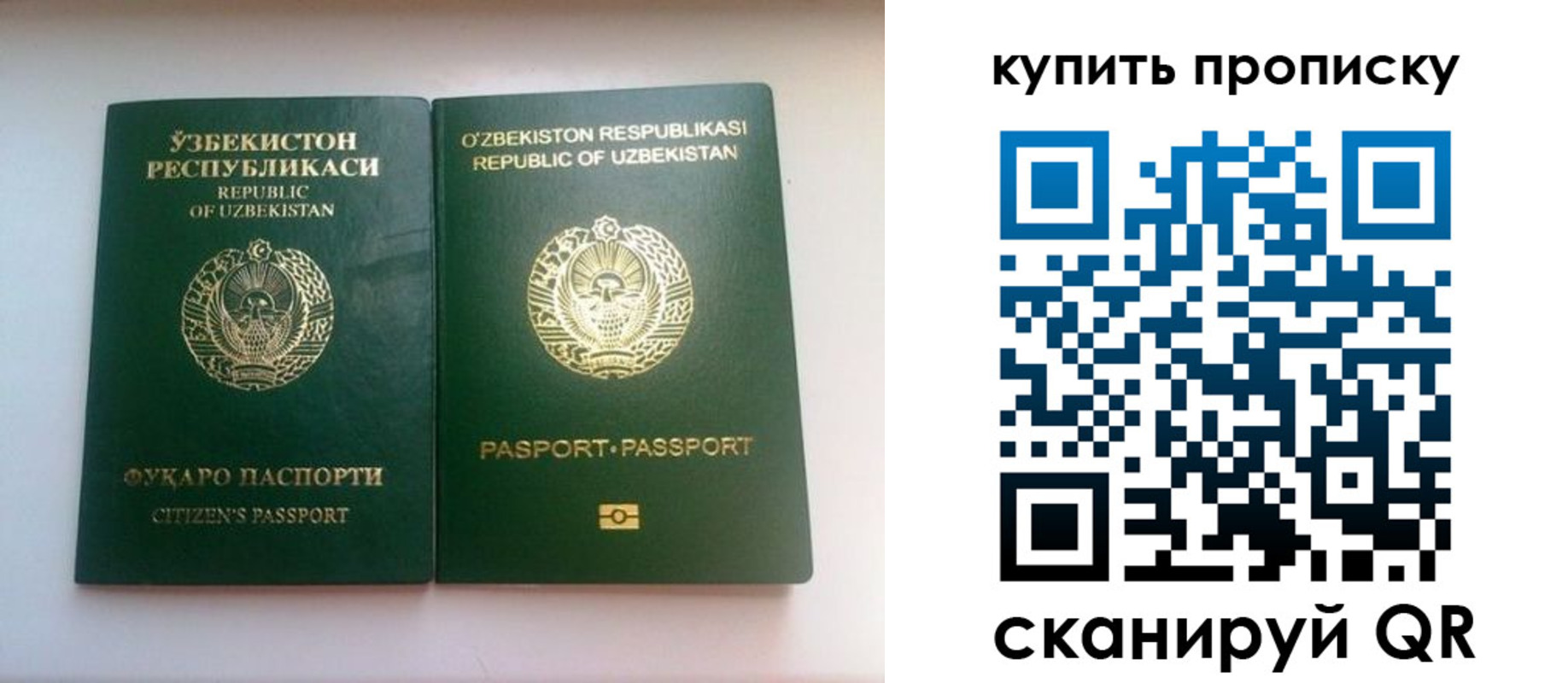 прописка в квартире в Советске